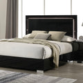 Black King Queen Panel Bed with LED Light