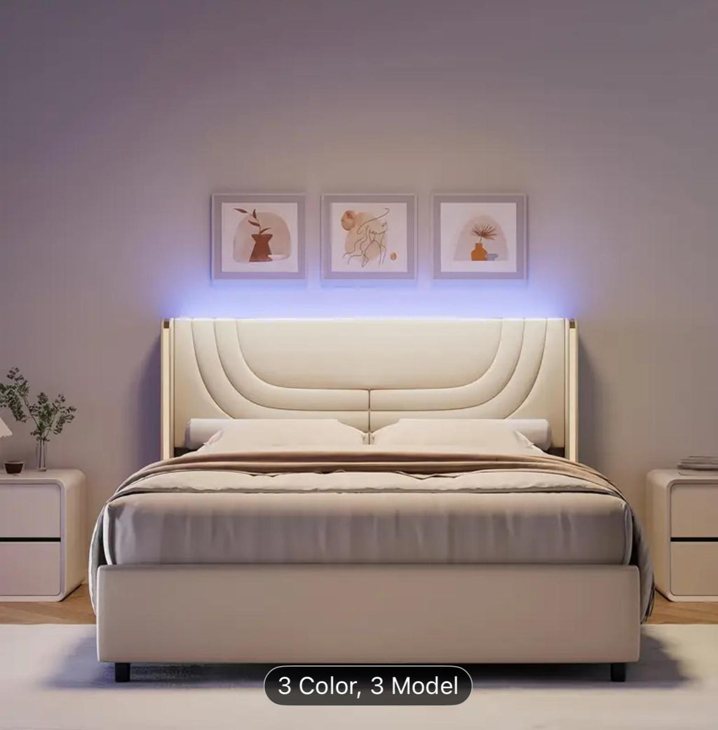 Twin Full Queen Size Bed Frame With LED Lights